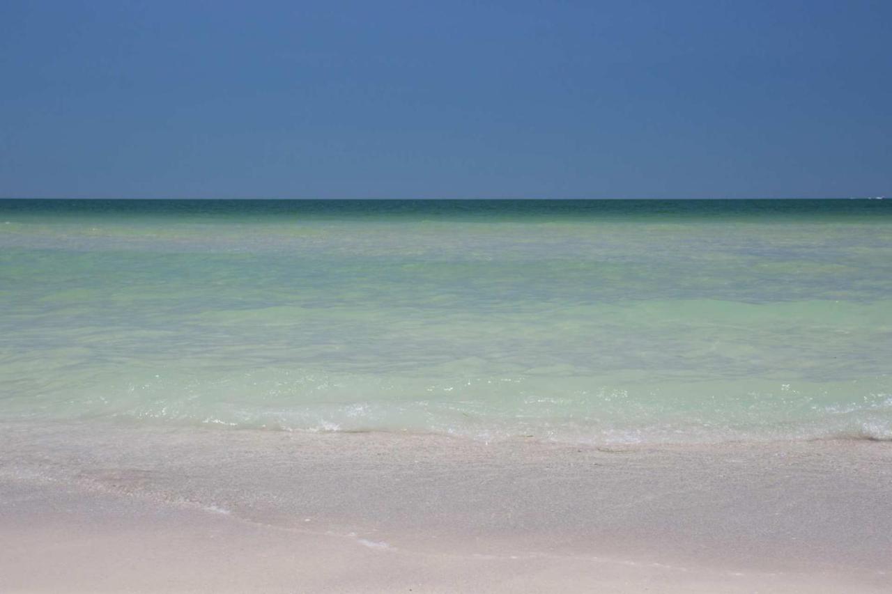513 - Island Inn St. Pete Beach Zewnętrze zdjęcie